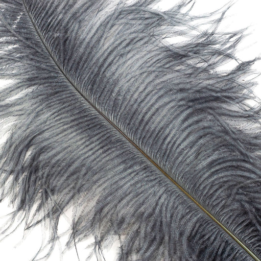 Large Ostrich Feathers - 17’’ + Drabs - Gun Metal Grey - Ostrich Feathers
