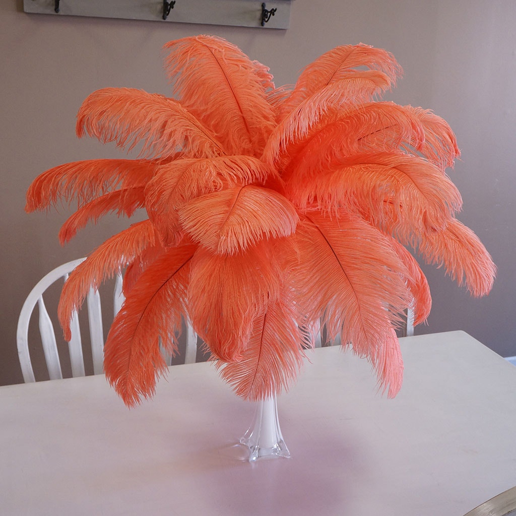 Large Ostrich Feathers - 17’’ + Drabs - Hot Orange - Ostrich Feathers