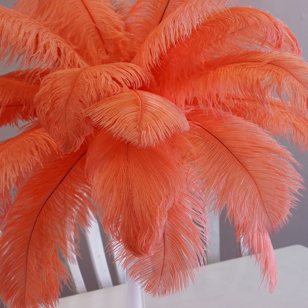 Large Ostrich Feathers - 17’’ + Drabs - Hot Orange - Ostrich Feathers