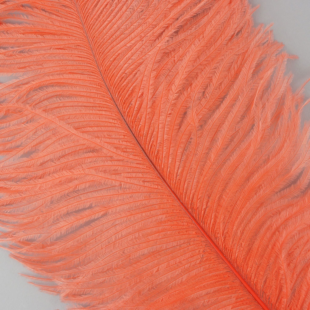 Large Ostrich Feathers - 17’’ + Drabs - Hot Orange - Ostrich Feathers