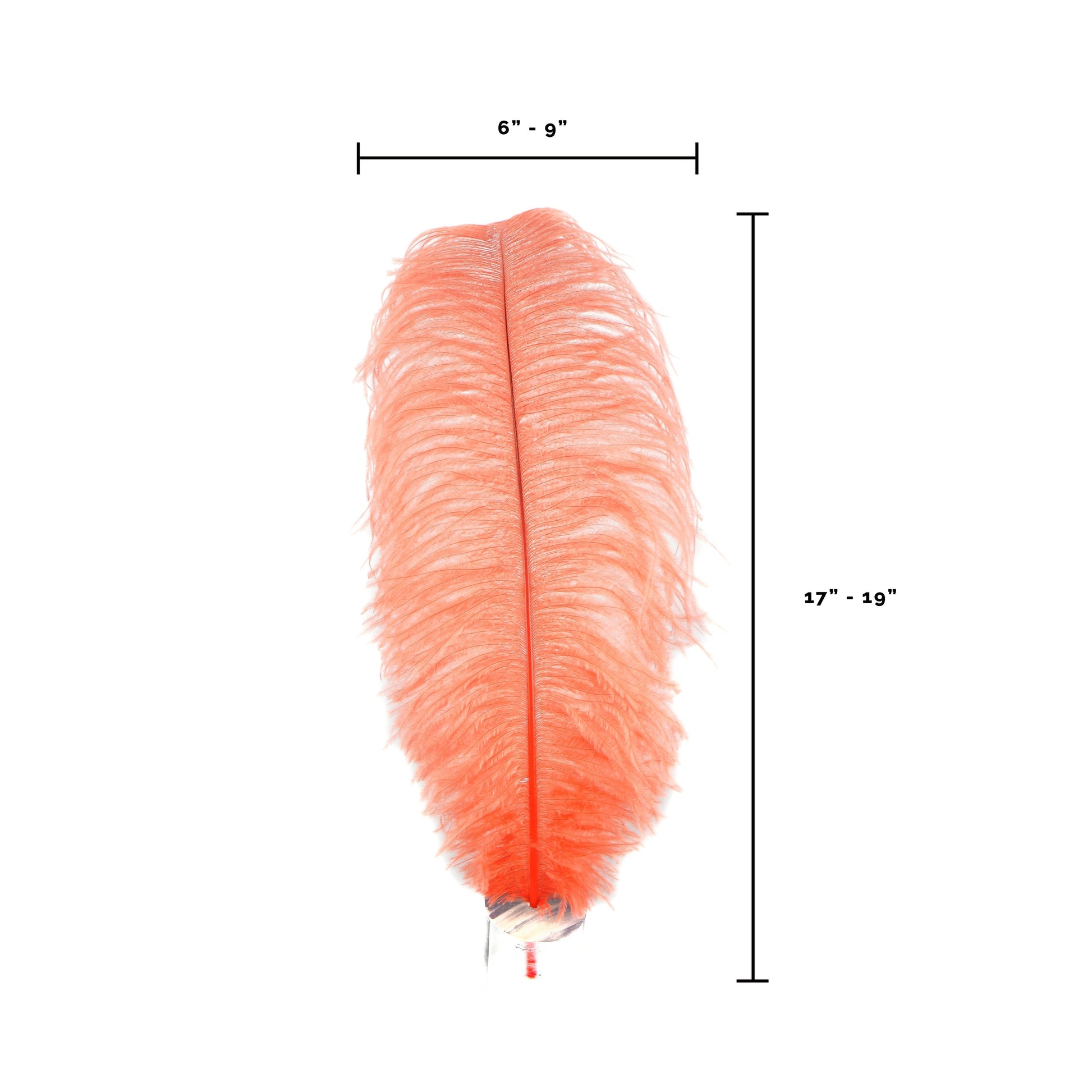 Large Ostrich Feathers - 17’’ + Drabs - Hot Orange - Ostrich Feathers