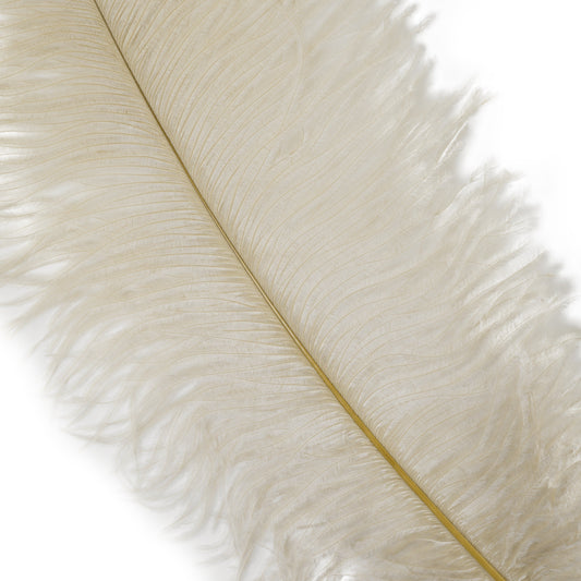 Large Ostrich Feathers - 17’’ + Drabs - Ivory - Ostrich Feathers