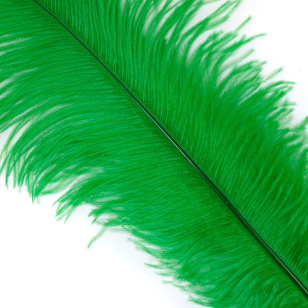 Large Ostrich Feathers - 17’’ + Drabs - Kelly - Ostrich Feathers