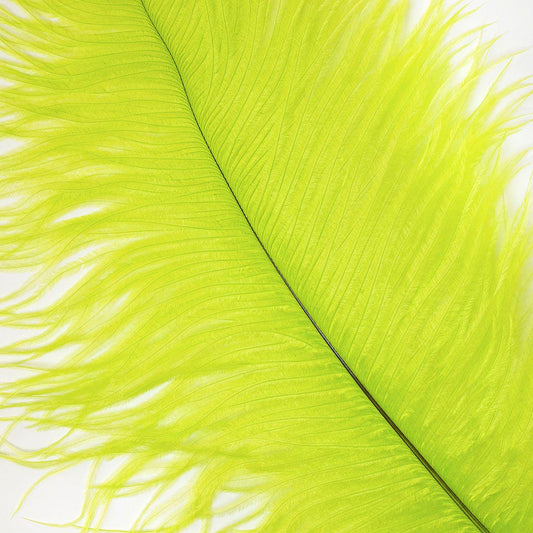 Large Ostrich Feathers - 17’’ + Drabs - Lime - Ostrich Feathers