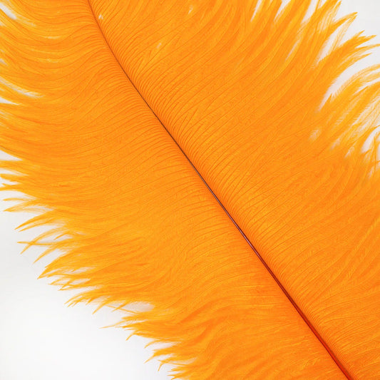 Large Ostrich Feathers - 17’’ + Drabs - Mango - Ostrich Feathers