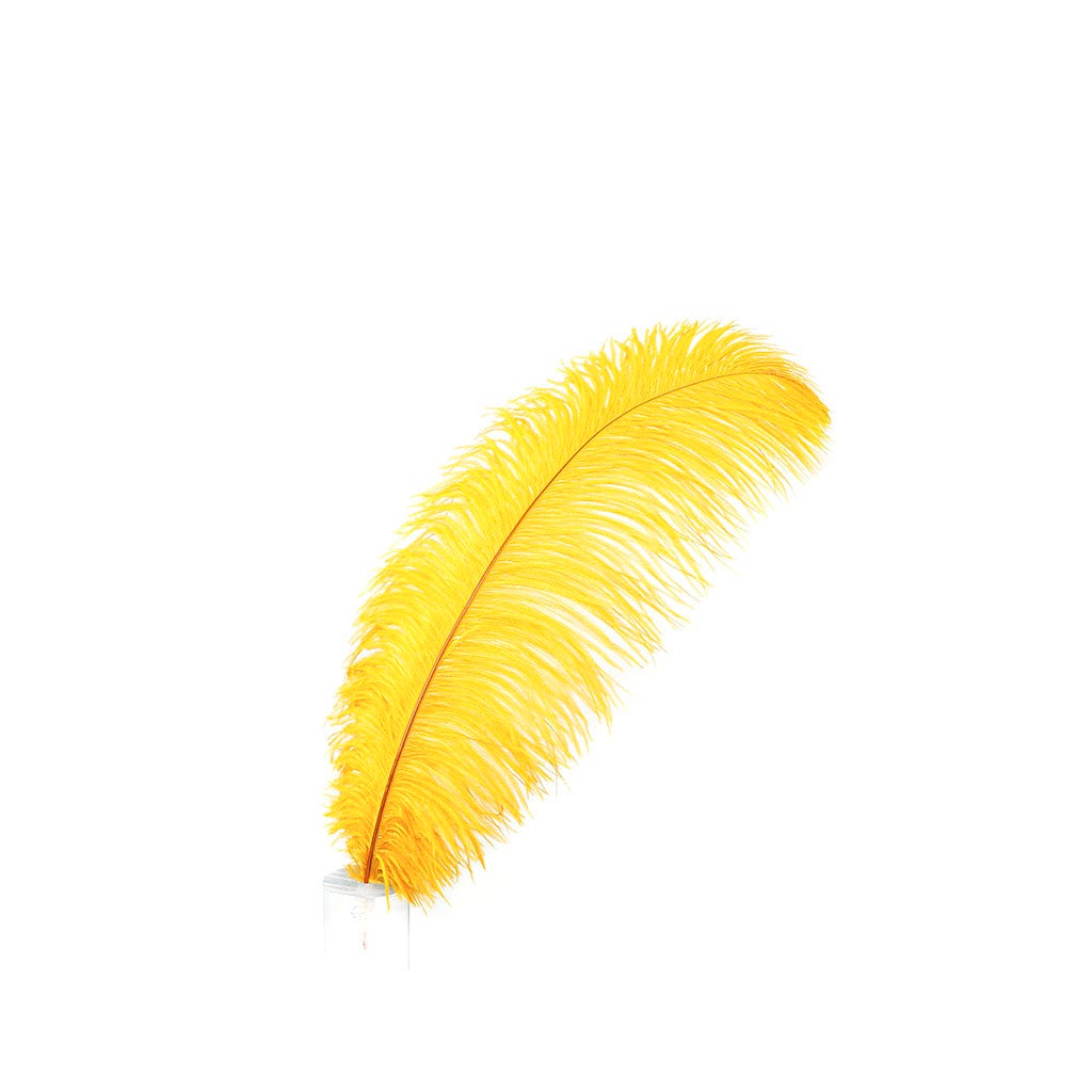 Large Ostrich Feathers - 17’’ + Drabs - Marigold - 1 piece - Ostrich Feathers