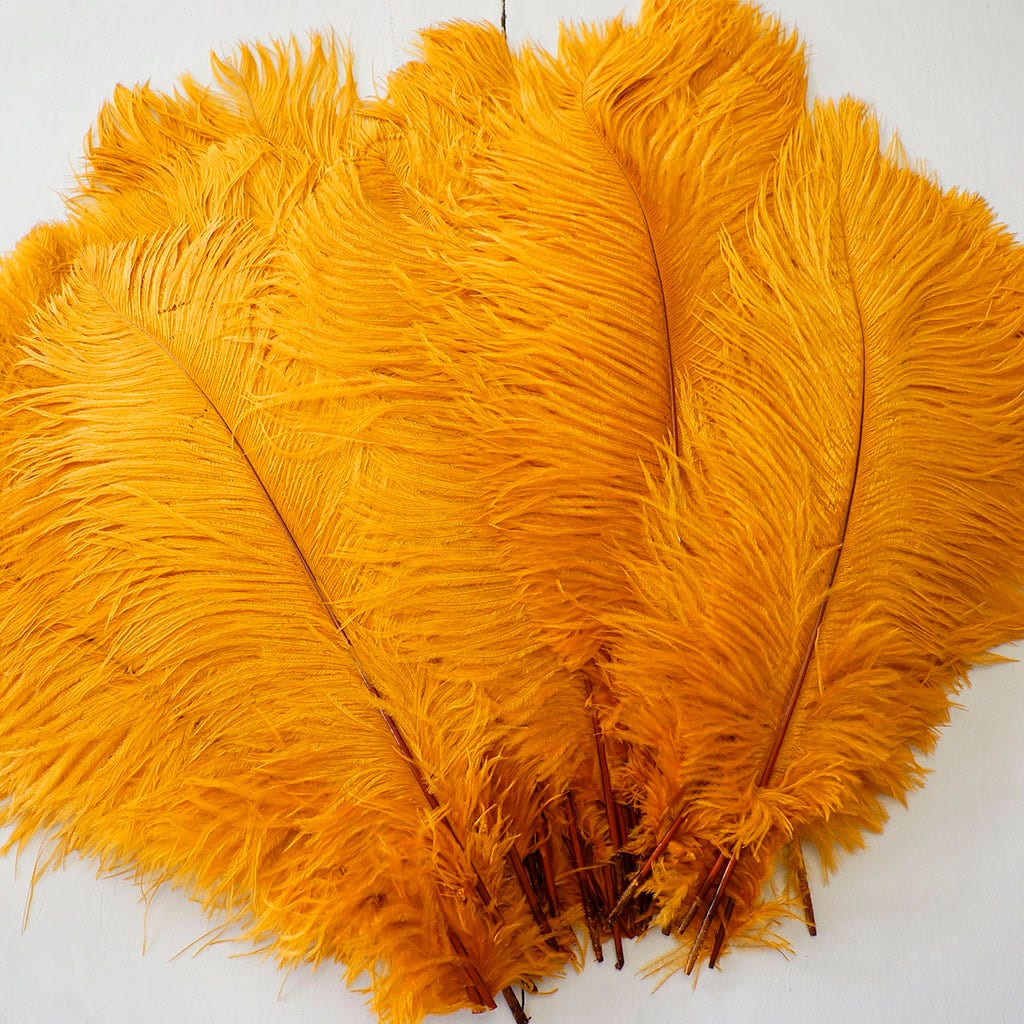 Large Ostrich Feathers - 17’’ + Drabs - Marigold - 12 pieces - Ostrich Feathers