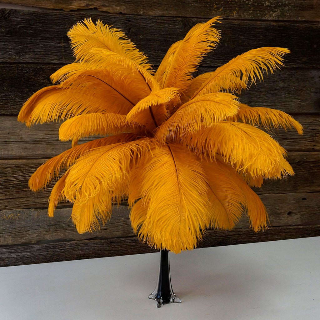 Large Ostrich Feathers - 17’’ + Drabs - Marigold - Ostrich Feathers