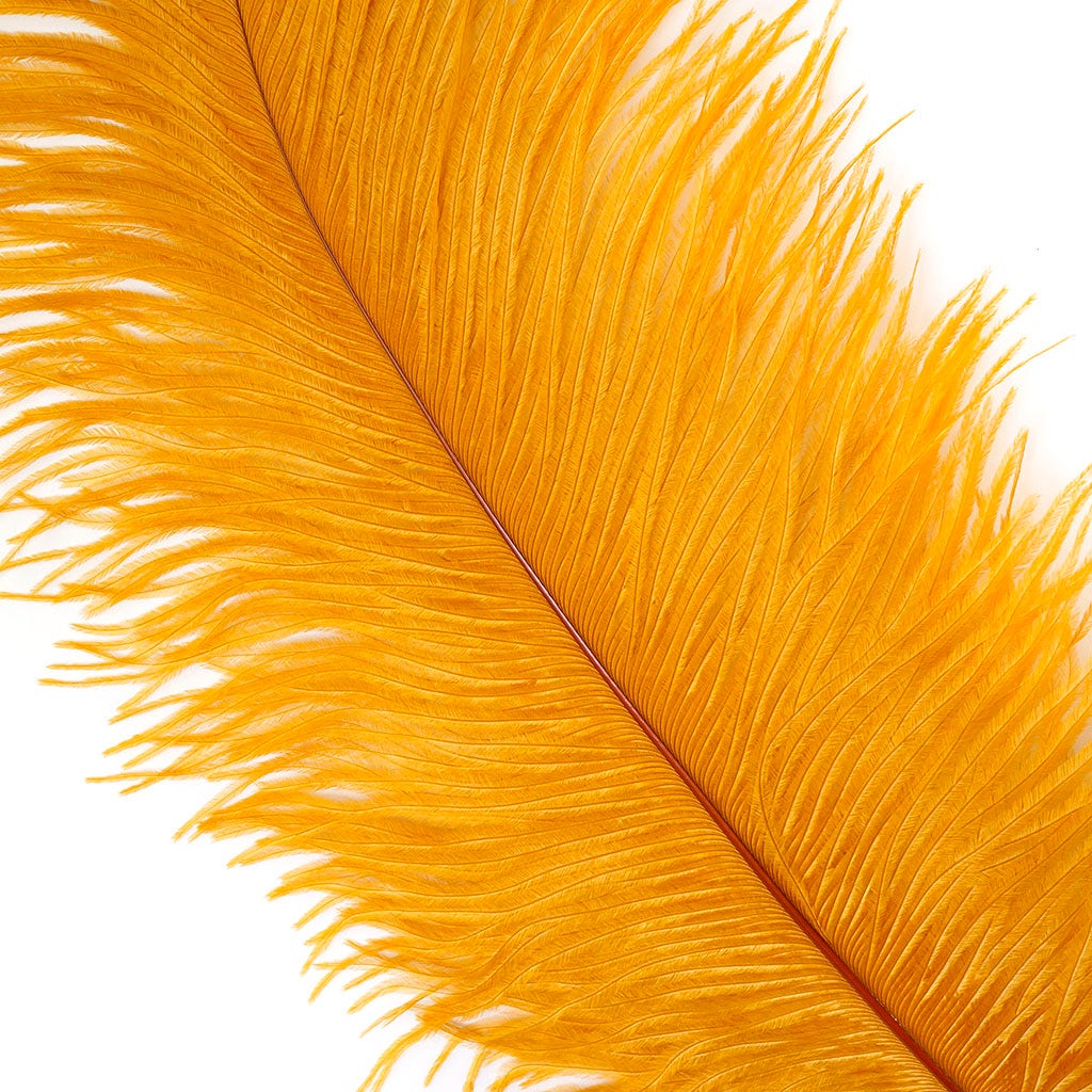 Large Ostrich Feathers - 17’’ + Drabs - Marigold - Ostrich Feathers