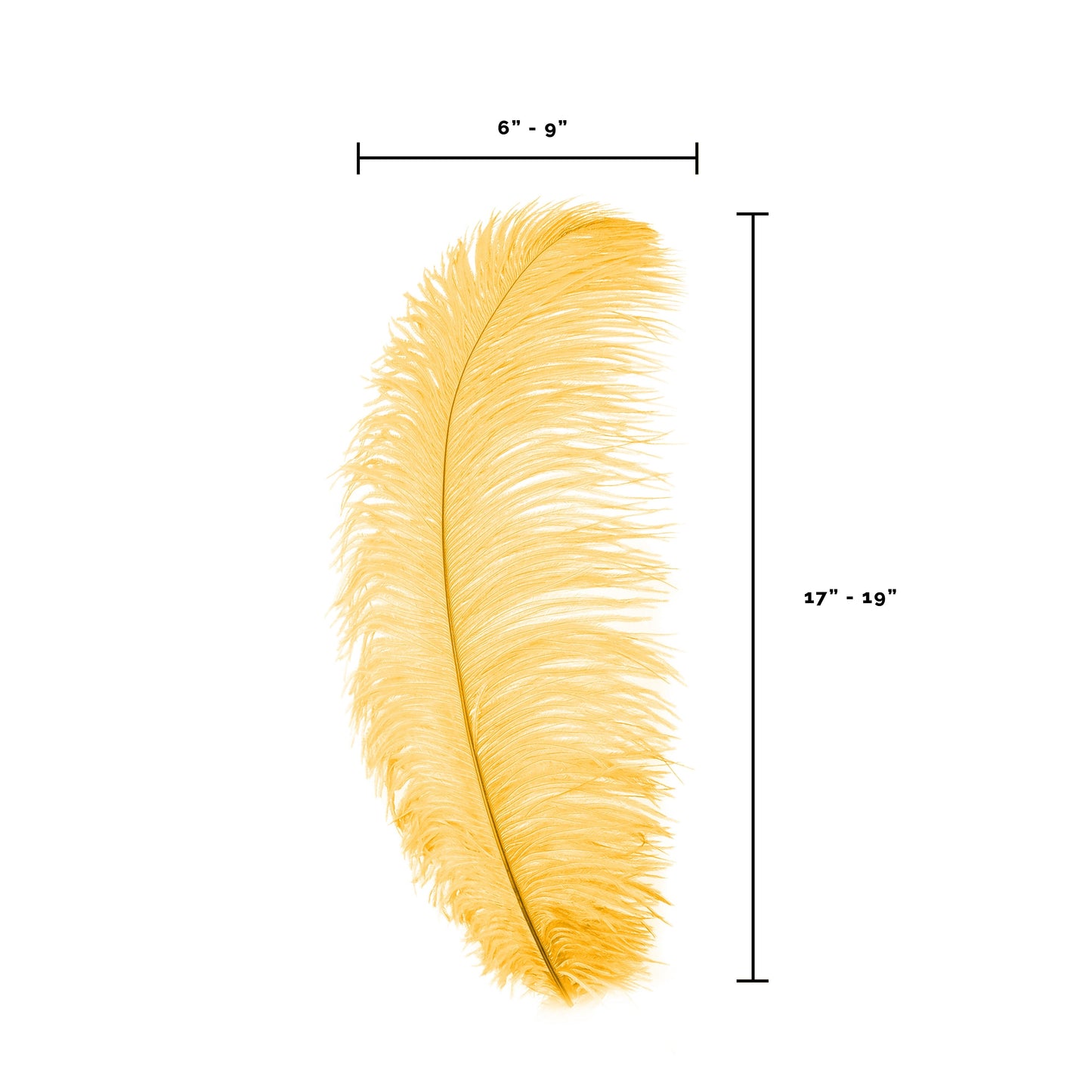 Large Ostrich Feathers - 17’’ + Drabs - Marigold - Ostrich Feathers