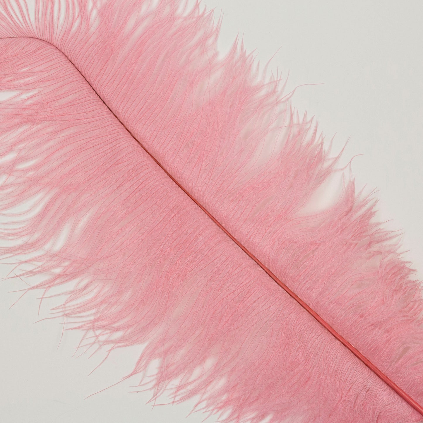 Large Ostrich Feathers - 17’’ + Drabs - Met Gala Potpourri - Ostrich Feathers