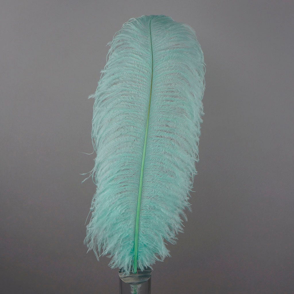 Large Ostrich Feathers - 17’’ + Drabs - Mint - 1 piece - Ostrich Feathers