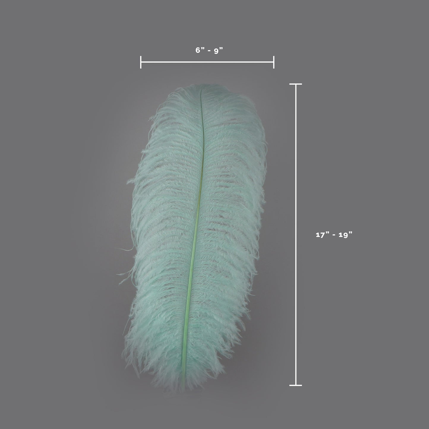 Large Ostrich Feathers - 17’’ + Drabs - Mint - Ostrich Feathers