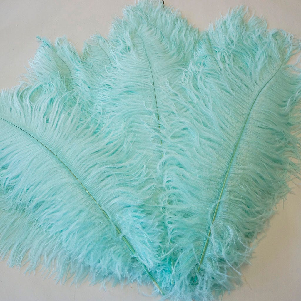 Large Ostrich Feathers - 17’’ + Drabs - Mint - 12 pieces - Ostrich Feathers