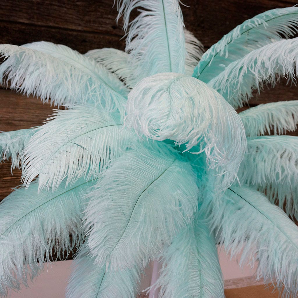 Large Ostrich Feathers - 17’’ + Drabs - Mint - Ostrich Feathers