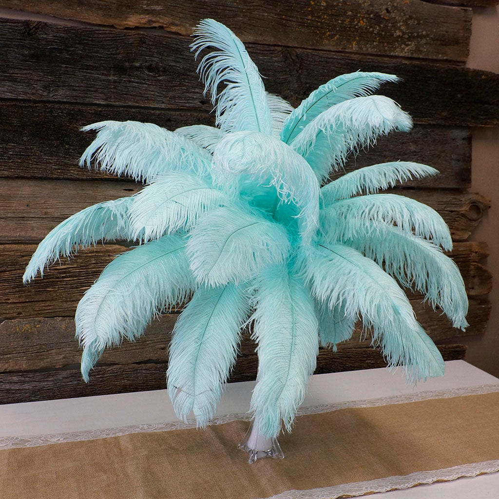 Large Ostrich Feathers - 17’’ + Drabs - Mint - Ostrich Feathers