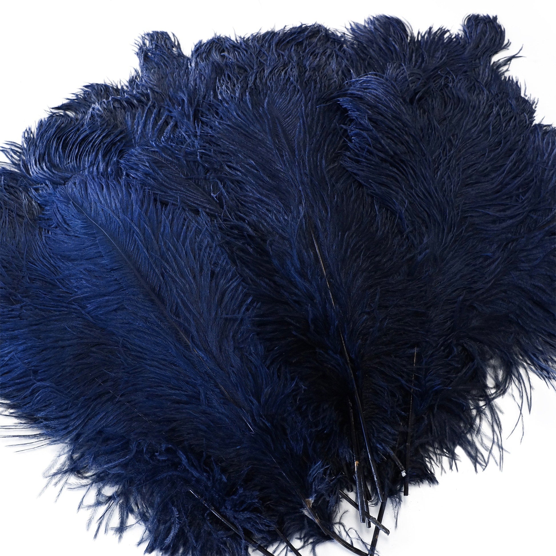 Large Ostrich Feathers - 17’’ + Drabs - Navy - 12 pieces - Ostrich Feathers