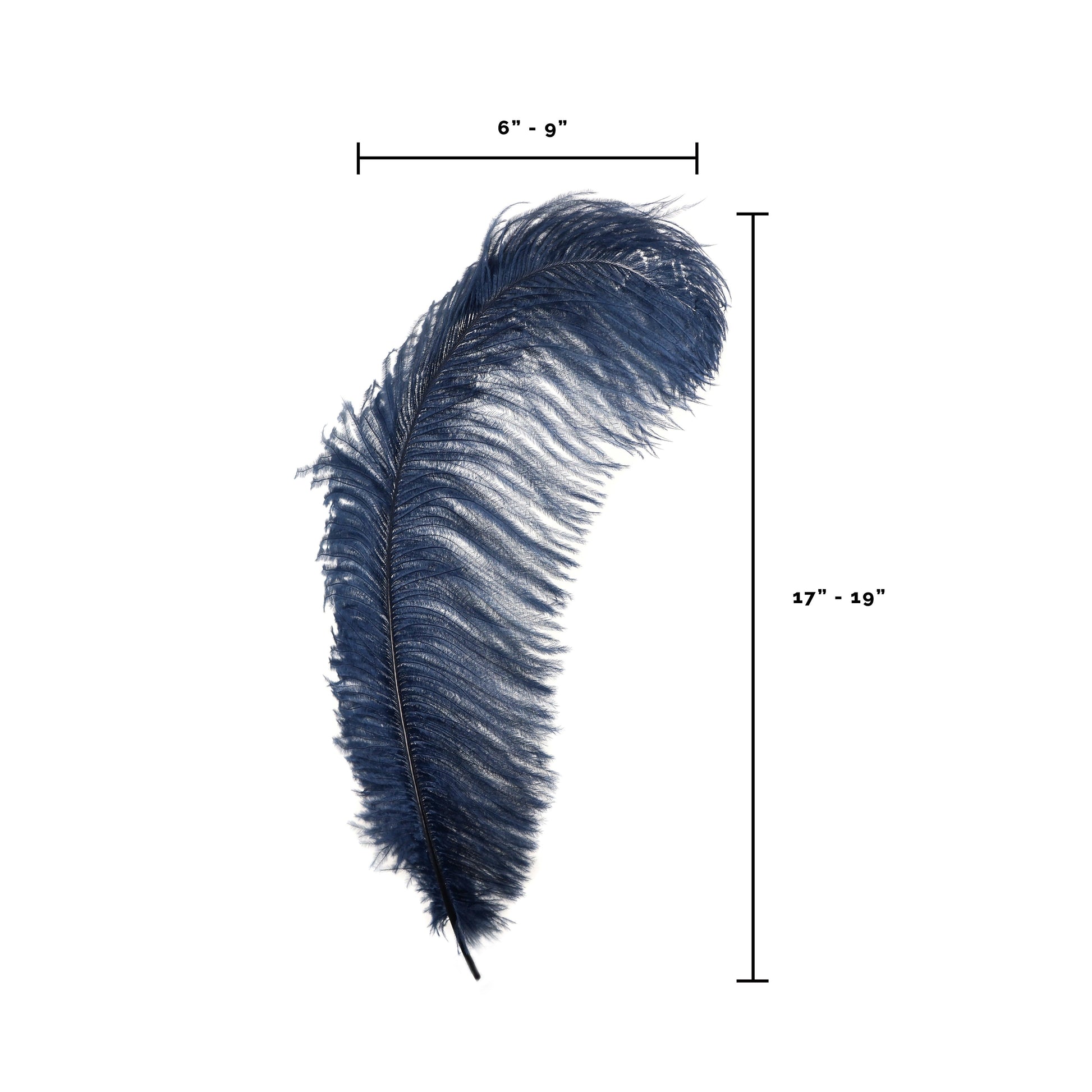 Large Ostrich Feathers - 17’’ + Drabs - Navy - Ostrich Feathers