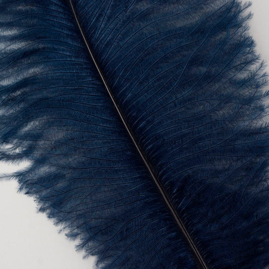 Large Ostrich Feathers - 17’’ + Drabs - Navy - Ostrich Feathers