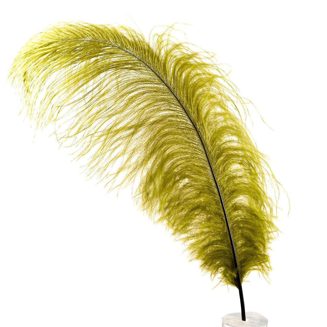 Large Ostrich Feathers - 17’’ + Drabs - Olive - Ostrich Feathers