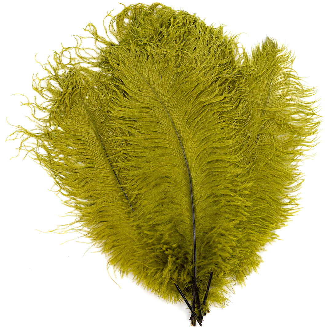 Large Ostrich Feathers - 17’’ + Drabs - Olive - Ostrich Feathers