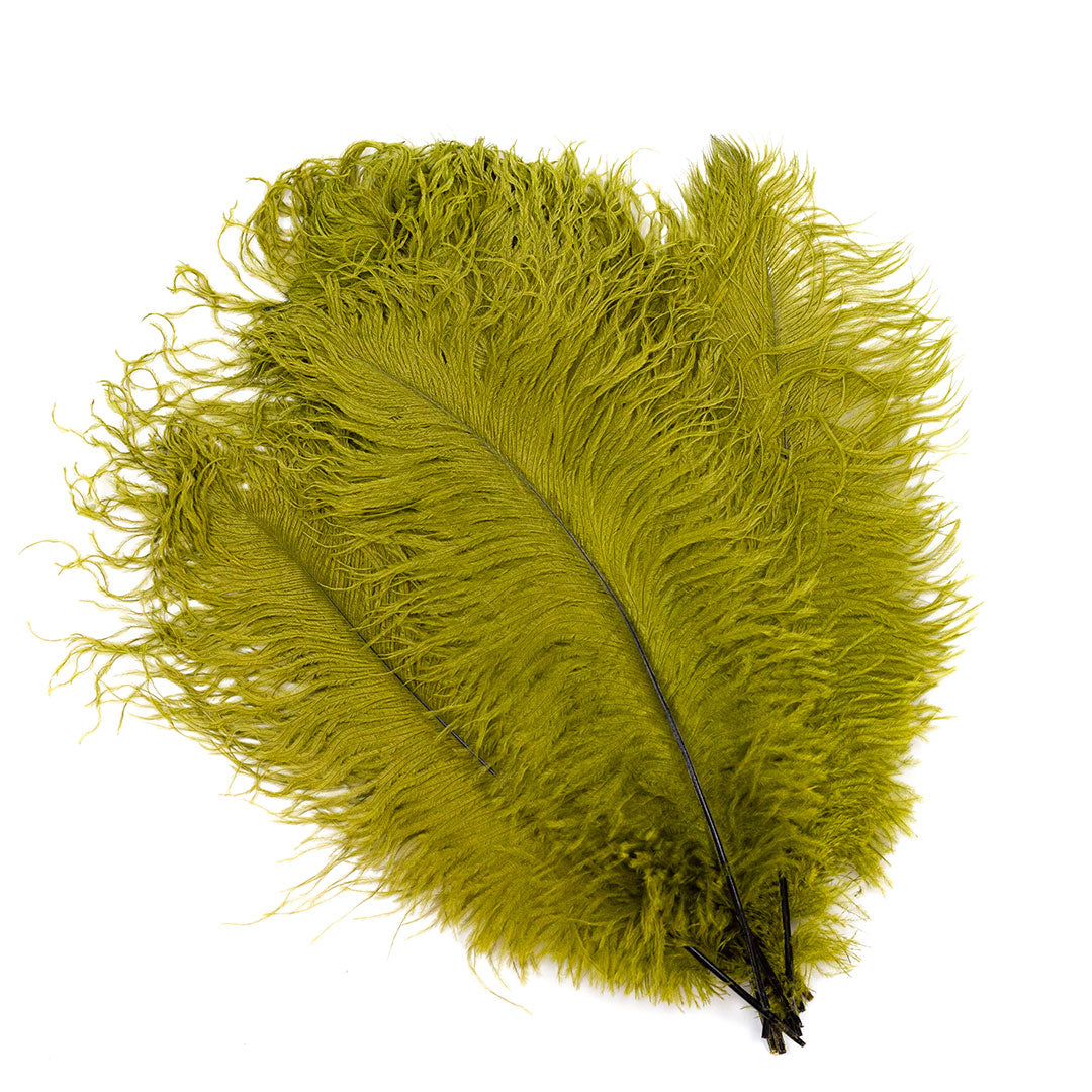 Large Ostrich Feathers - 17’’ + Drabs - Olive - Ostrich Feathers