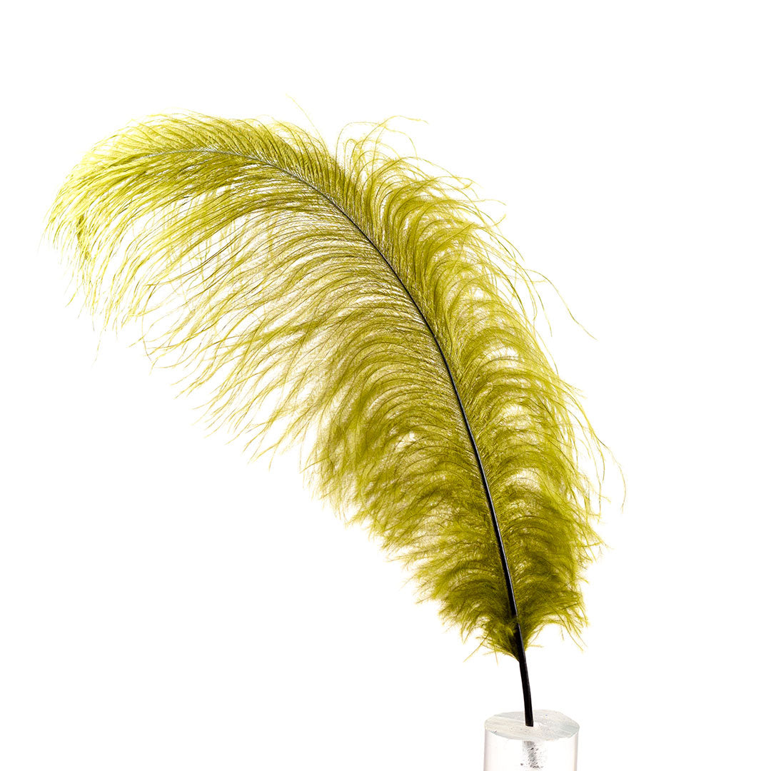 Large Ostrich Feathers - 17’’ + Drabs - Olive - Ostrich Feathers