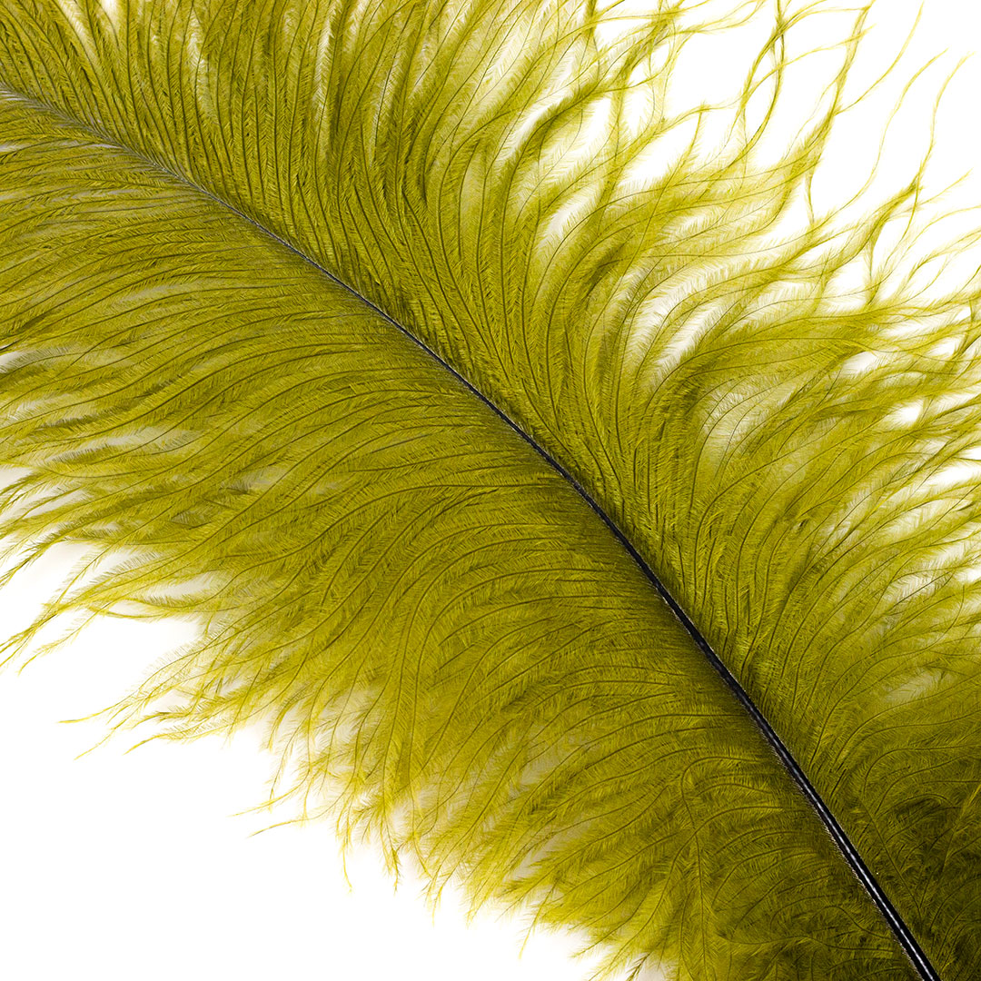 Large Ostrich Feathers - 17’’ + Drabs - Olive - Ostrich Feathers