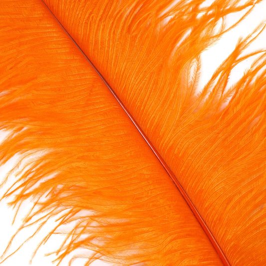 Large Ostrich Feathers - 17’’ + Drabs - Orange - Ostrich Feathers
