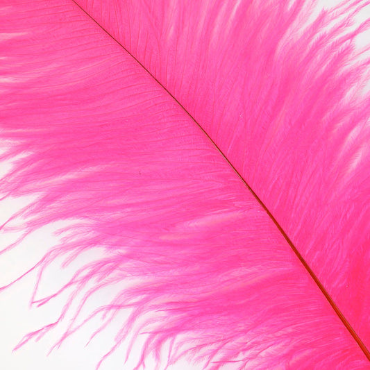 Large Ostrich Feathers - 17’’ + Drabs - Pink Orient - Ostrich Feathers