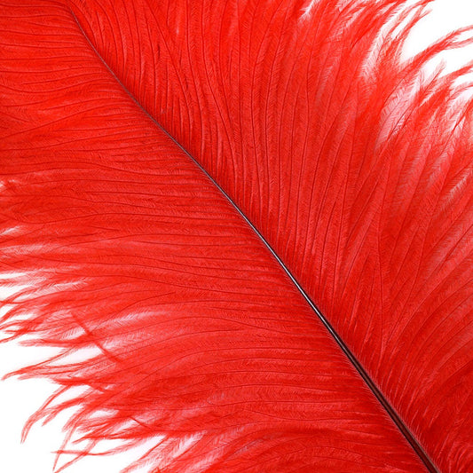 Large Ostrich Feathers - 17’’ + Drabs - Red - Ostrich Feathers