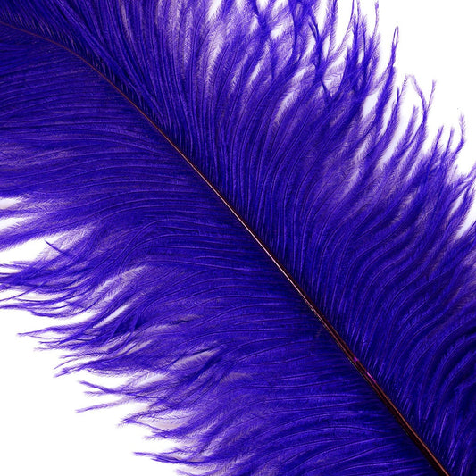 Large Ostrich Feathers - 17’’ + Drabs - Regal - Ostrich Feathers