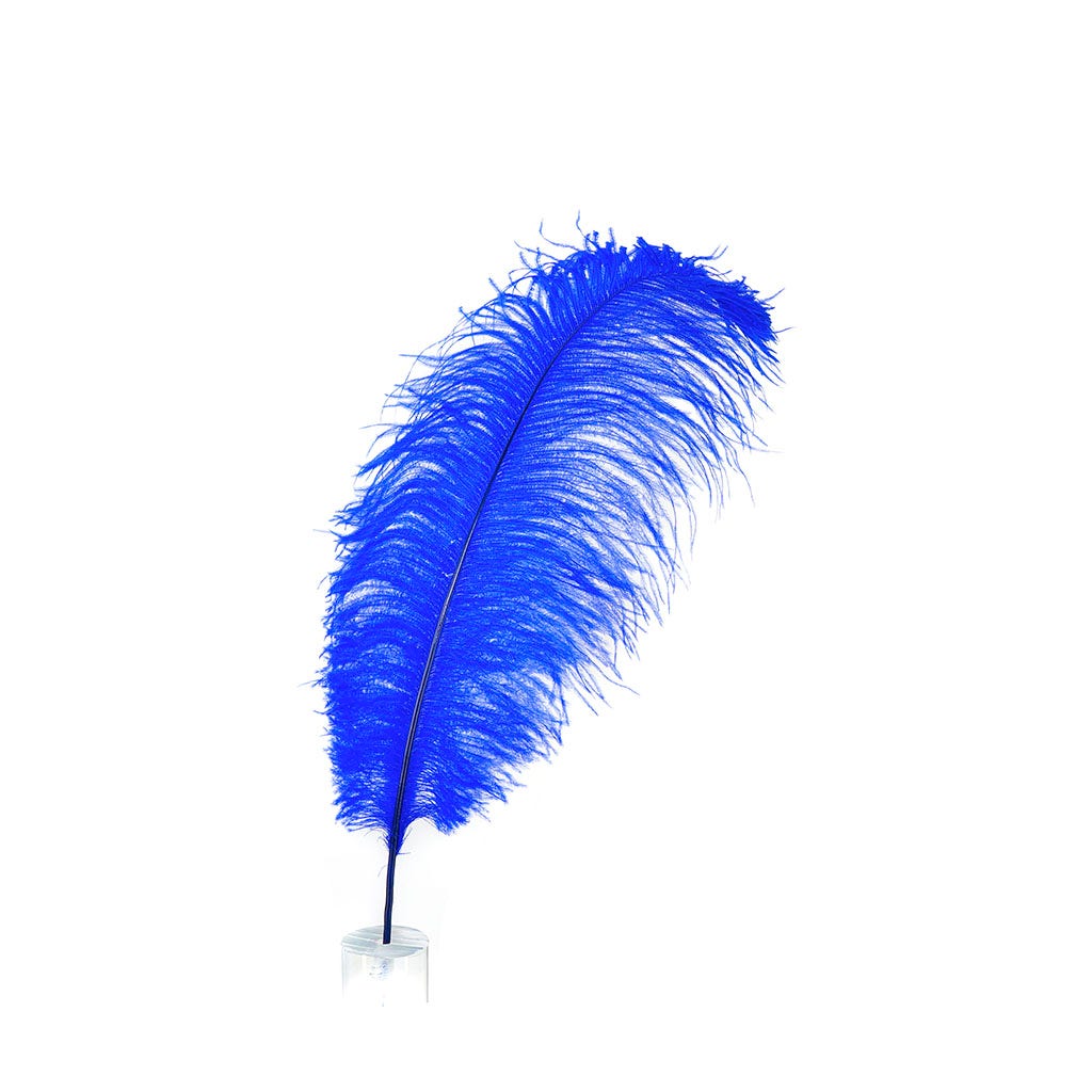 Large Ostrich Feathers - 17’’ + Drabs - Royal - 1 piece - Ostrich Feathers