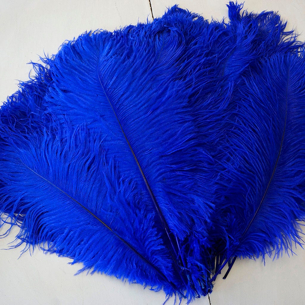 Large Ostrich Feathers - 17’’ + Drabs - Royal - 12 pieces - Ostrich Feathers