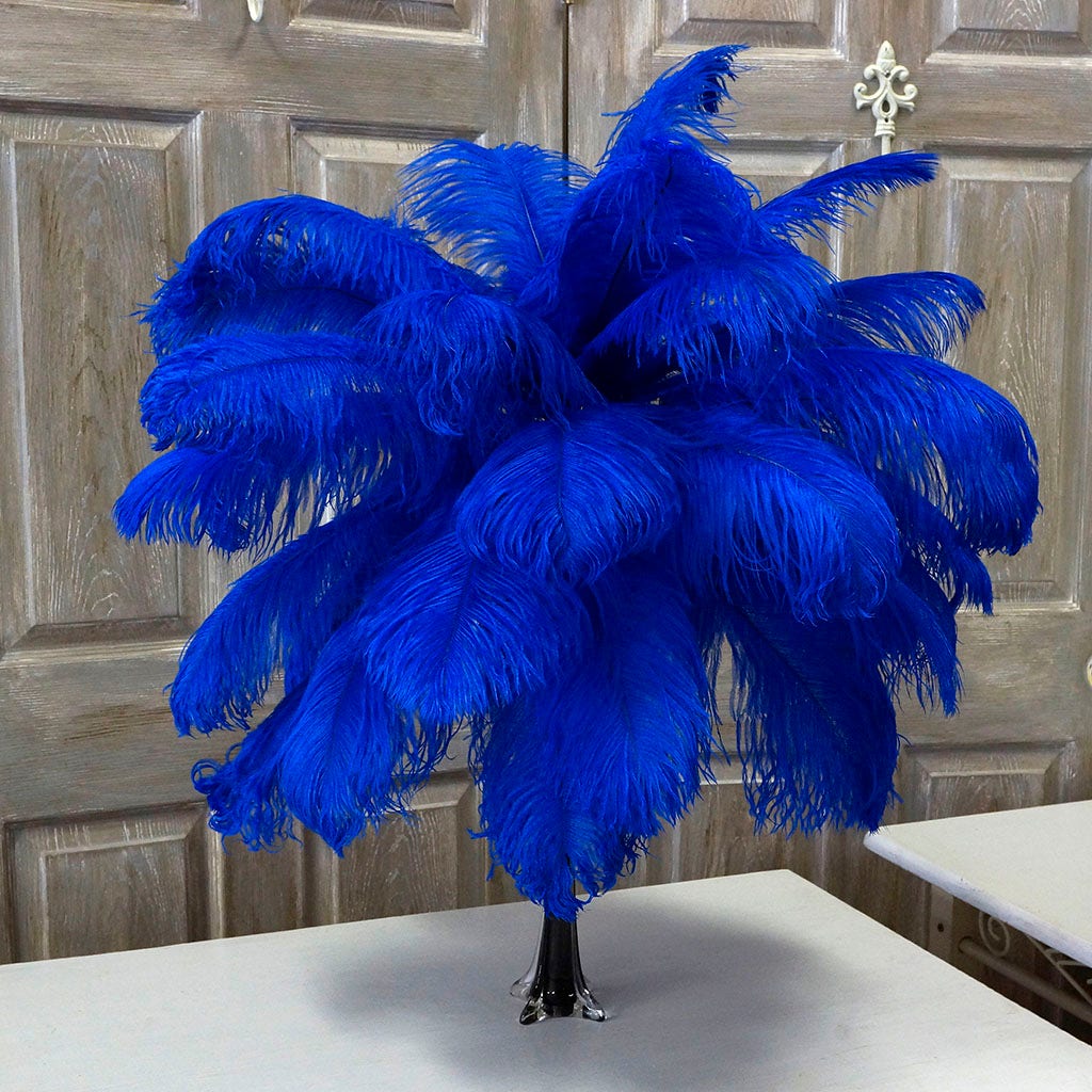 Large Ostrich Feathers - 17’’ + Drabs - Royal - Ostrich Feathers