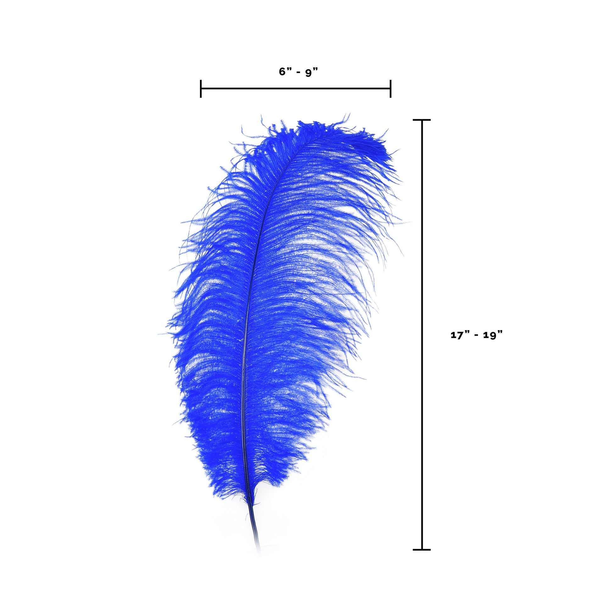 Large Ostrich Feathers - 17’’ + Drabs - Royal - Ostrich Feathers