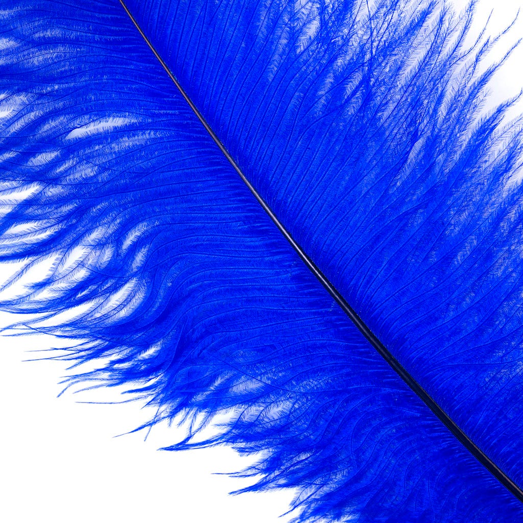 Large Ostrich Feathers - 17’’ + Drabs - Royal - Ostrich Feathers