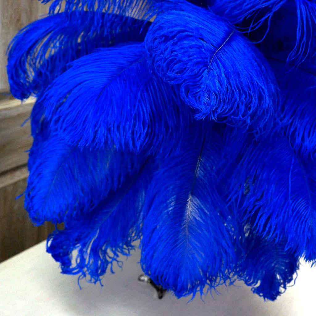 Large Ostrich Feathers - 17’’ + Drabs - Royal - Ostrich Feathers