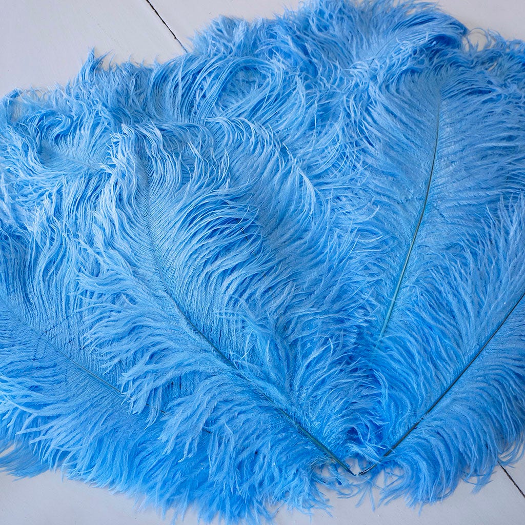 Large Ostrich Feathers - 17’’ + Drabs - Sky - 12 pieces - Ostrich Feathers