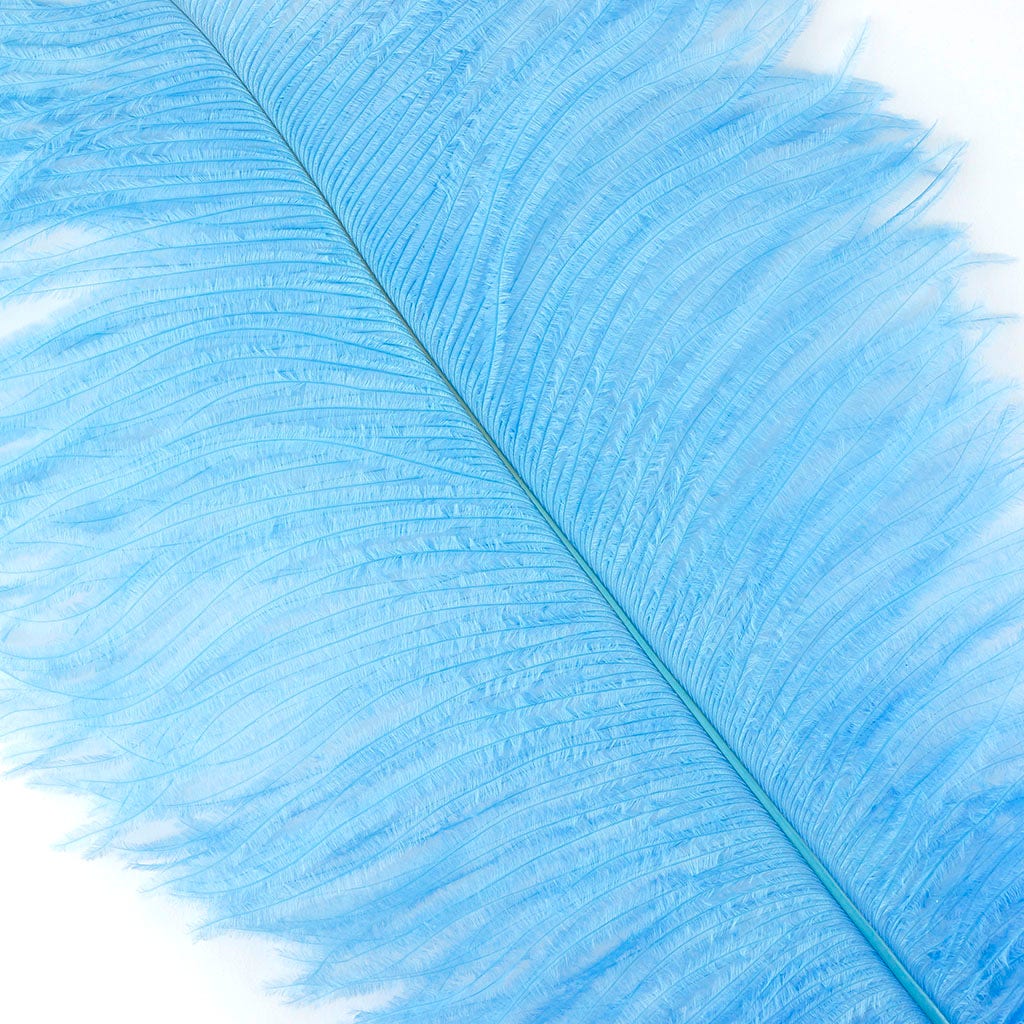 Large Ostrich Feathers - 17’’ + Drabs - Sky - Ostrich Feathers