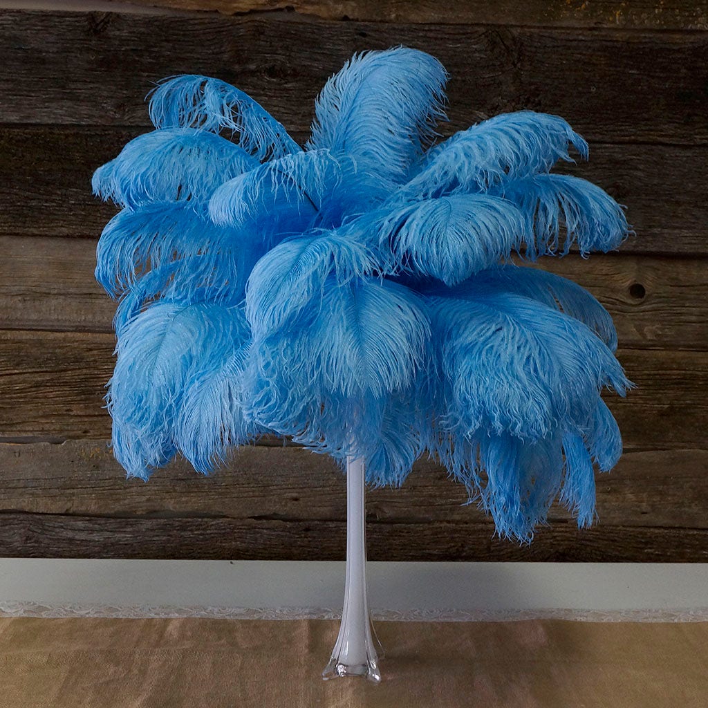 Large Ostrich Feathers - 17’’ + Drabs - Sky - Ostrich Feathers