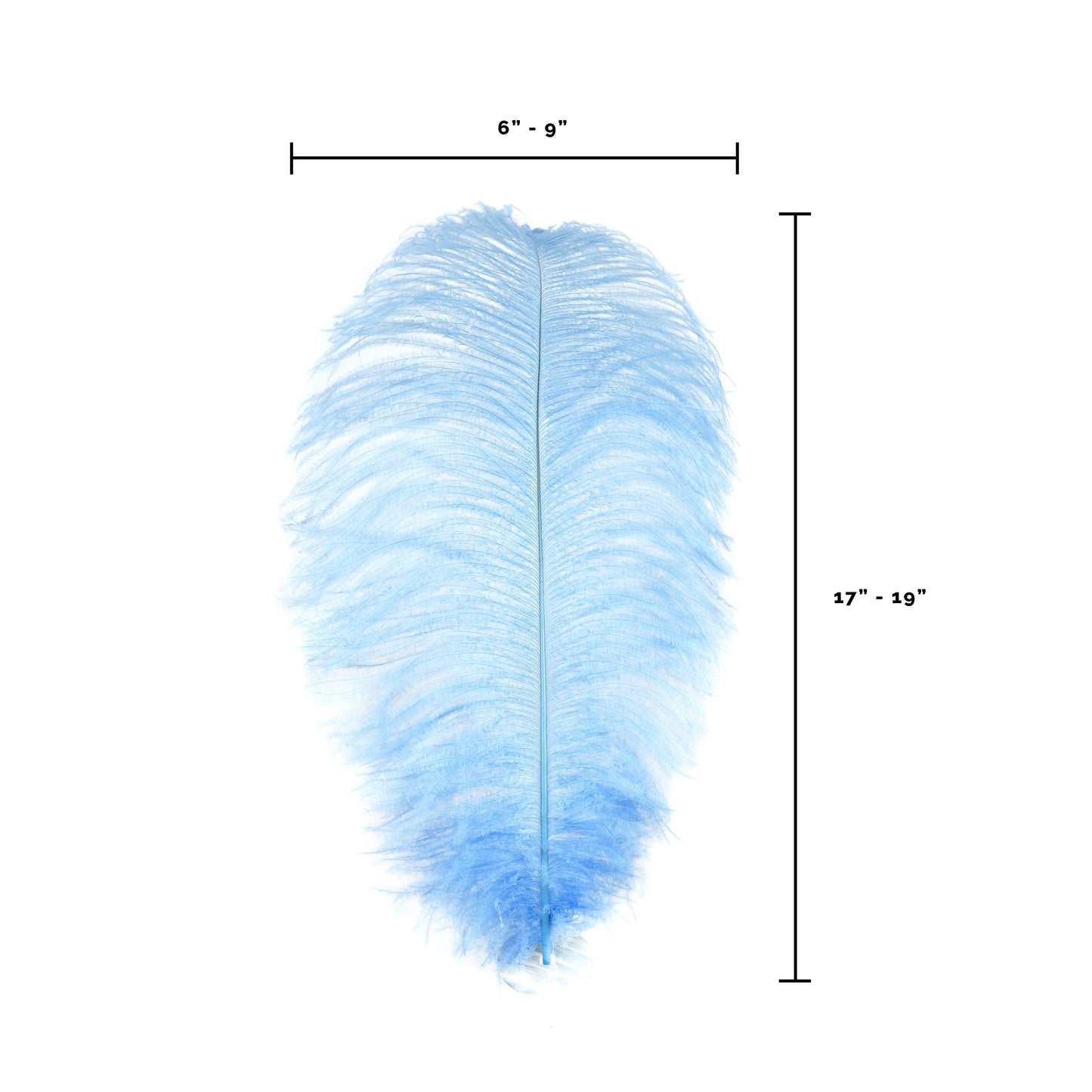 Large Ostrich Feathers - 17’’ + Drabs - Sky - Ostrich Feathers