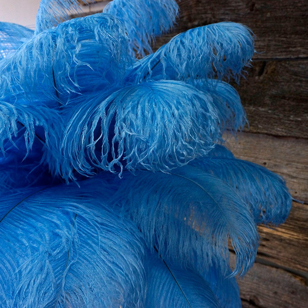 Large Ostrich Feathers - 17’’ + Drabs - Sky - Ostrich Feathers