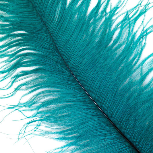 Large Ostrich Feathers - 17’’ + Drabs - Teal - Ostrich Feathers