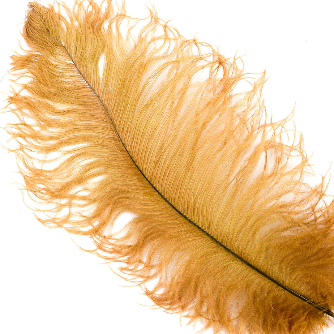 Large Ostrich Feathers - 17’’ + Drabs - Toasted Almond - Ostrich Feathers