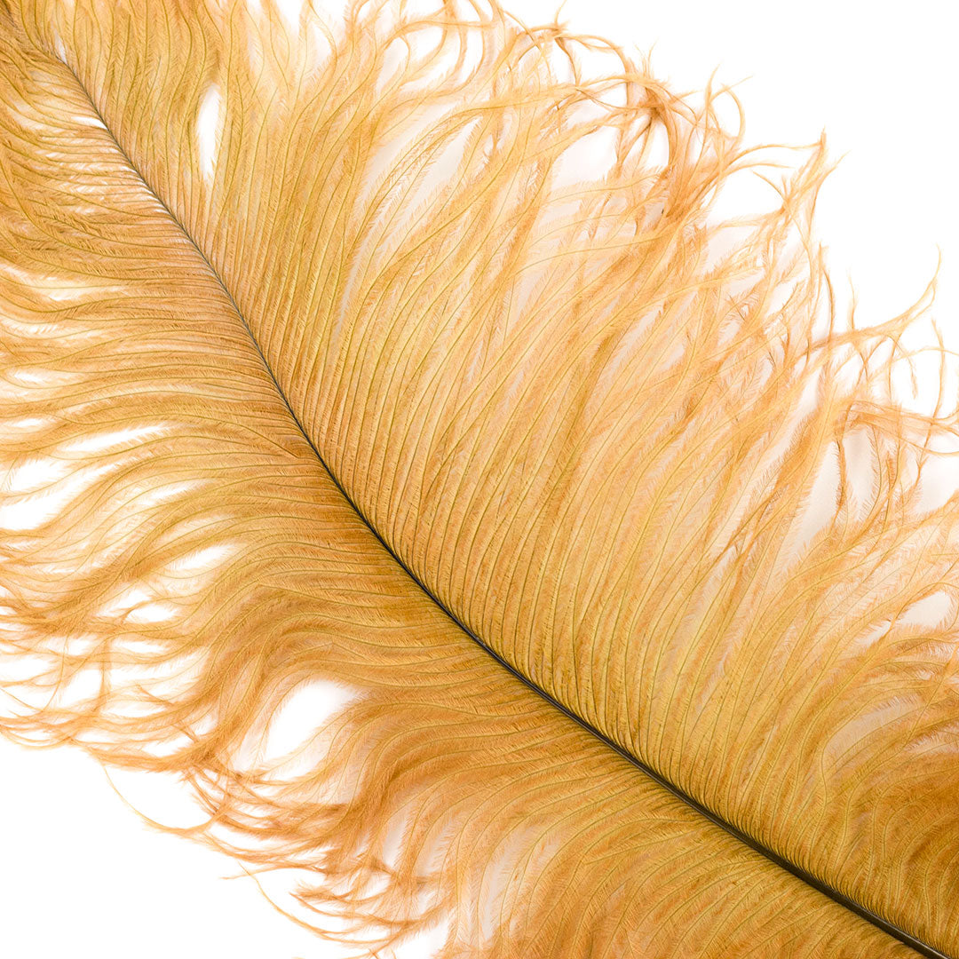 Large Ostrich Feathers - 17’’ + Drabs - Toasted Almond - Ostrich Feathers