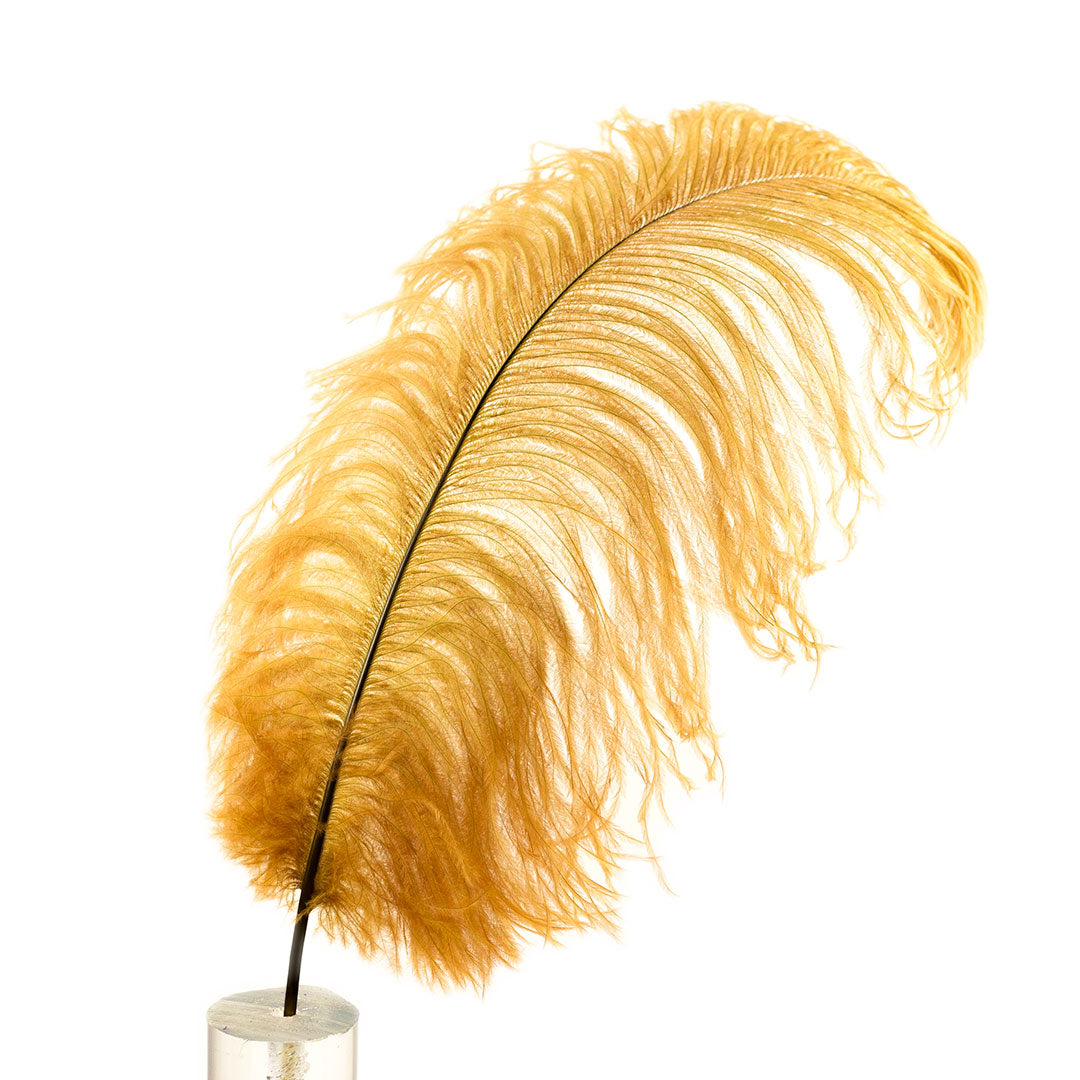 Large Ostrich Feathers - 17’’ + Drabs - Toasted Almond - Ostrich Feathers