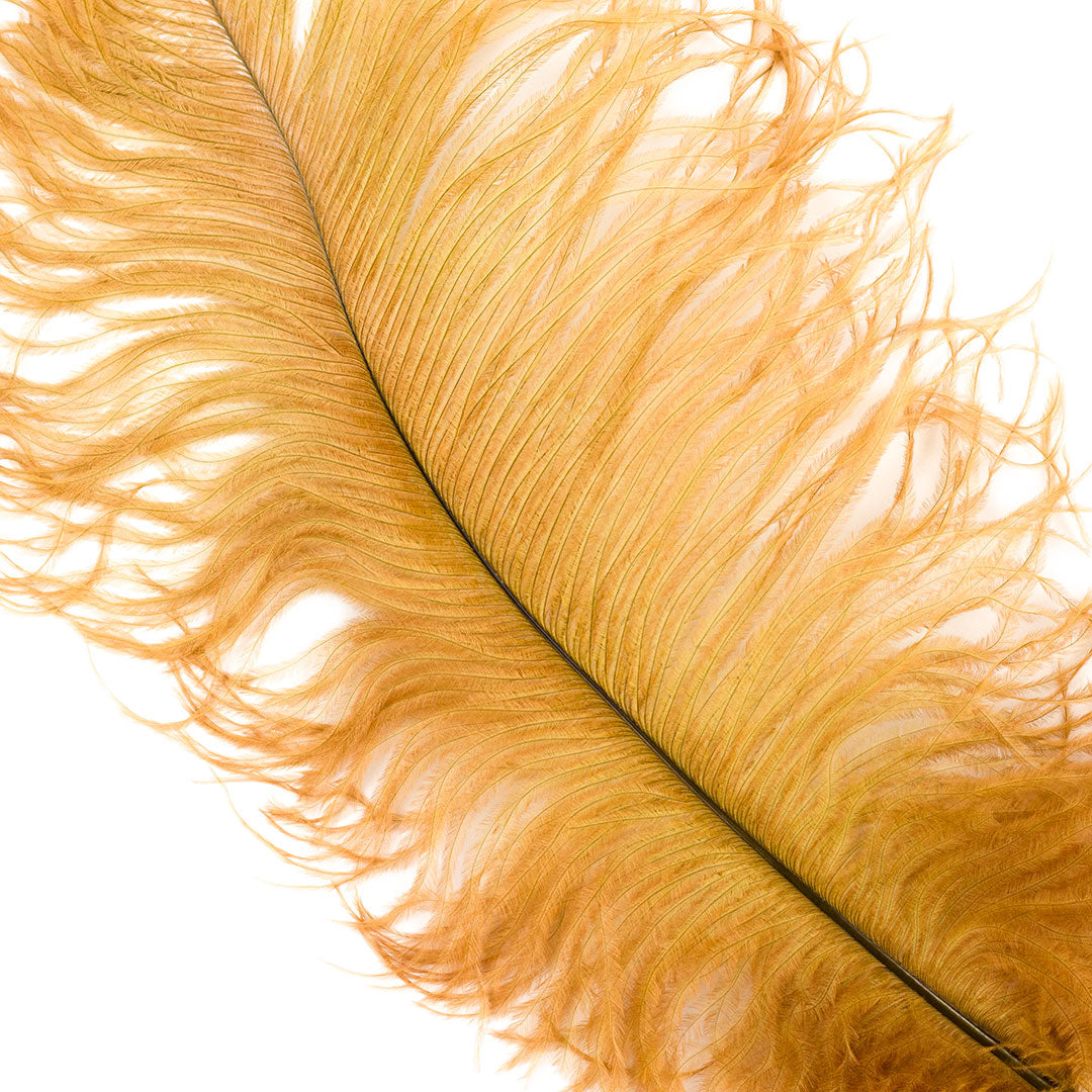 Large Ostrich Feathers - 17’’ + Drabs - Toasted Almond - Ostrich Feathers