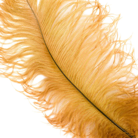 Large Ostrich Feathers - 17’’ + Drabs - Toasted Almond - Ostrich Feathers