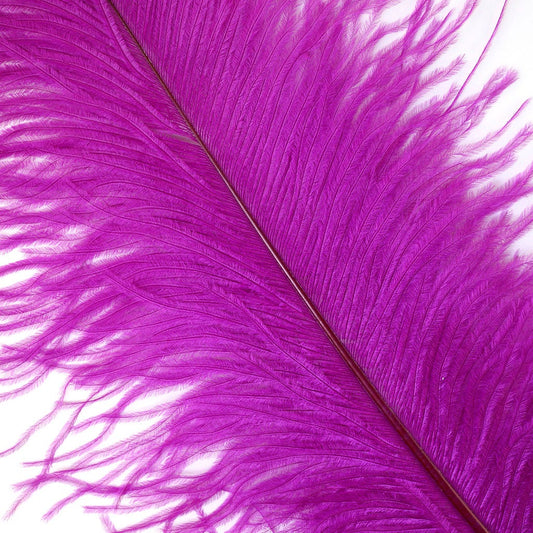 Large Ostrich Feathers - 17’’ + Drabs - Very Berry - Ostrich Feathers